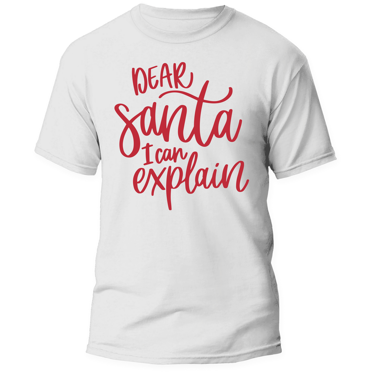 Dear Santa I Can Explain