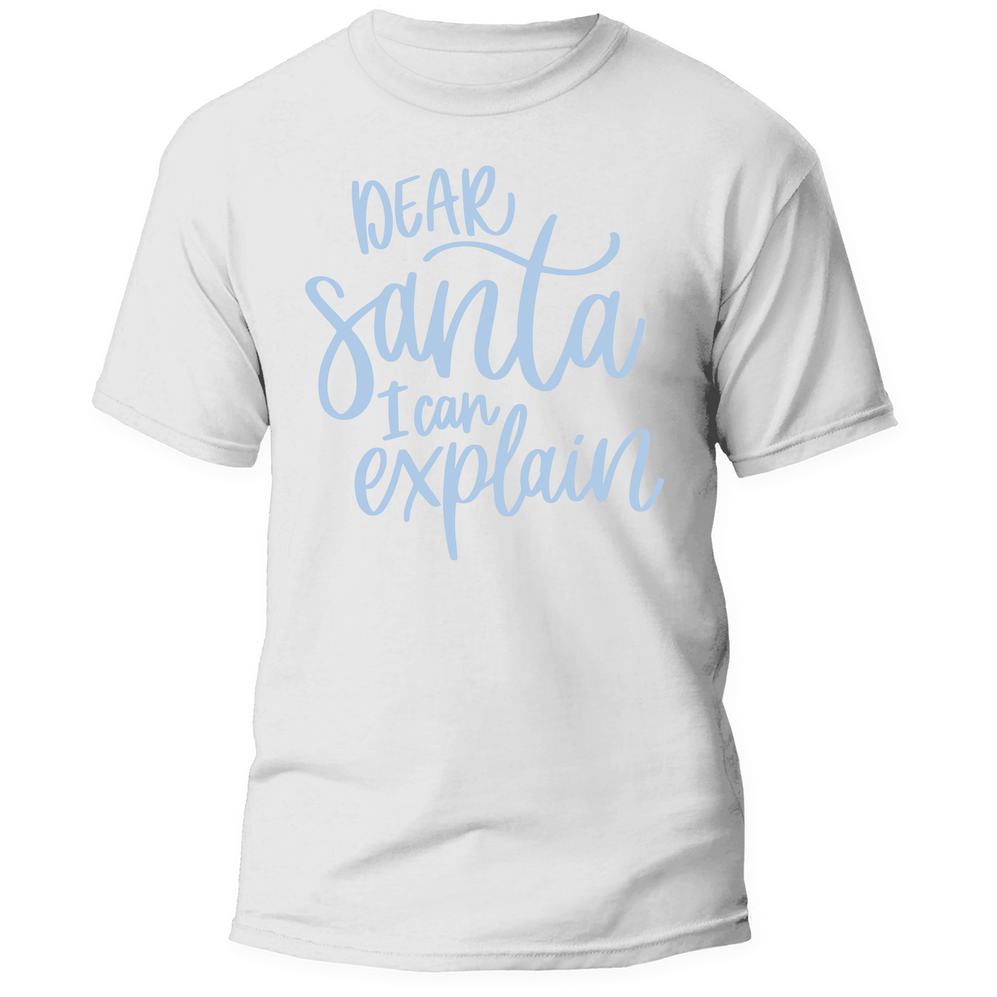 Dear Santa I Can Explain