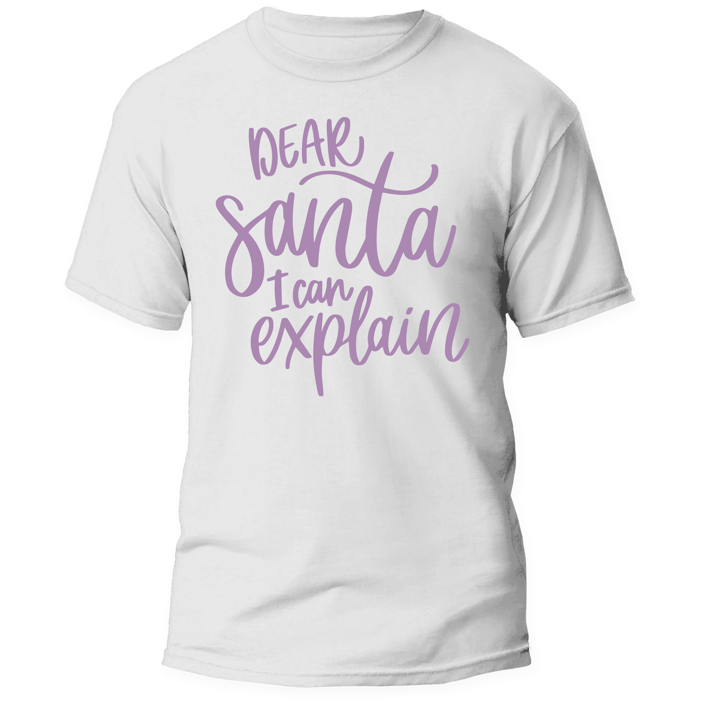 Dear Santa I Can Explain