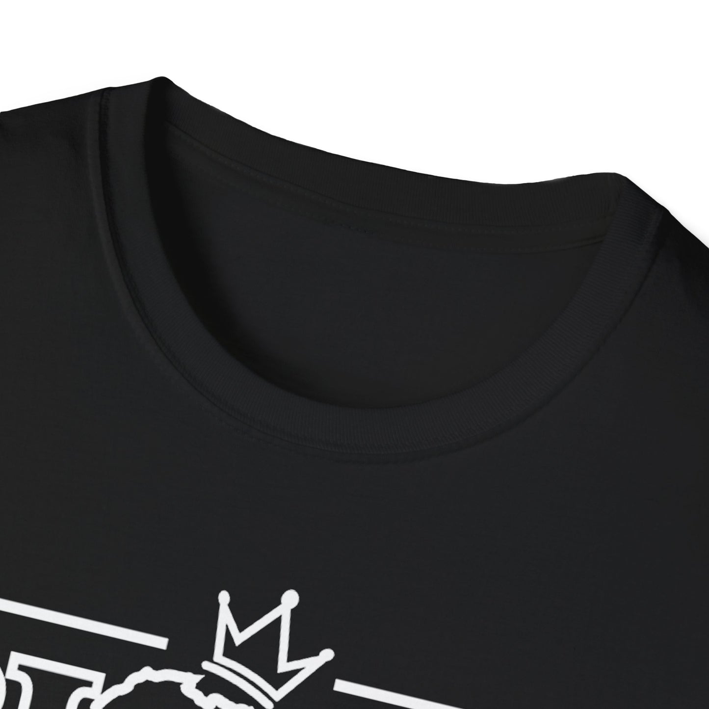 Black History Black Excellence Unisex Softstyle T-Shirt